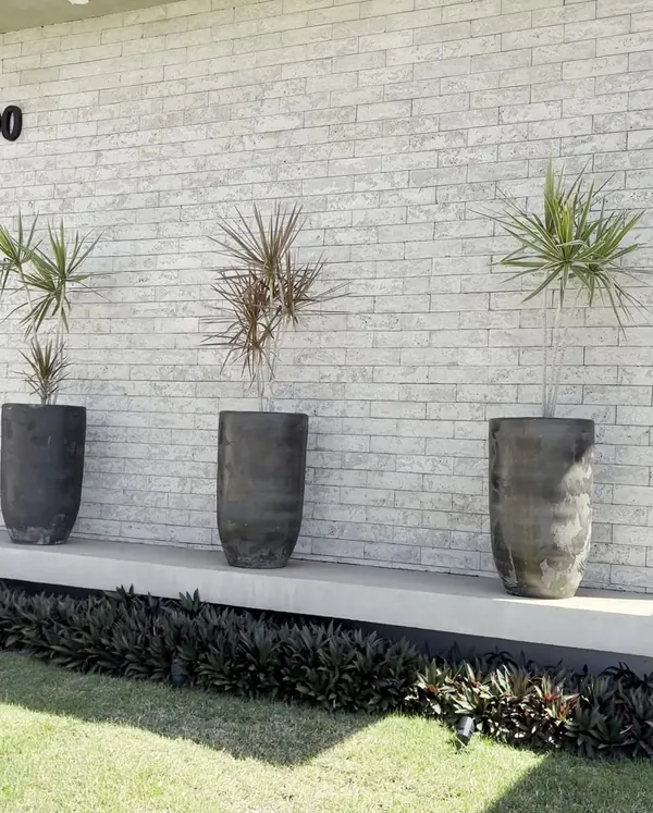 Muro de fachada com revestimento e vasos em casa entregue